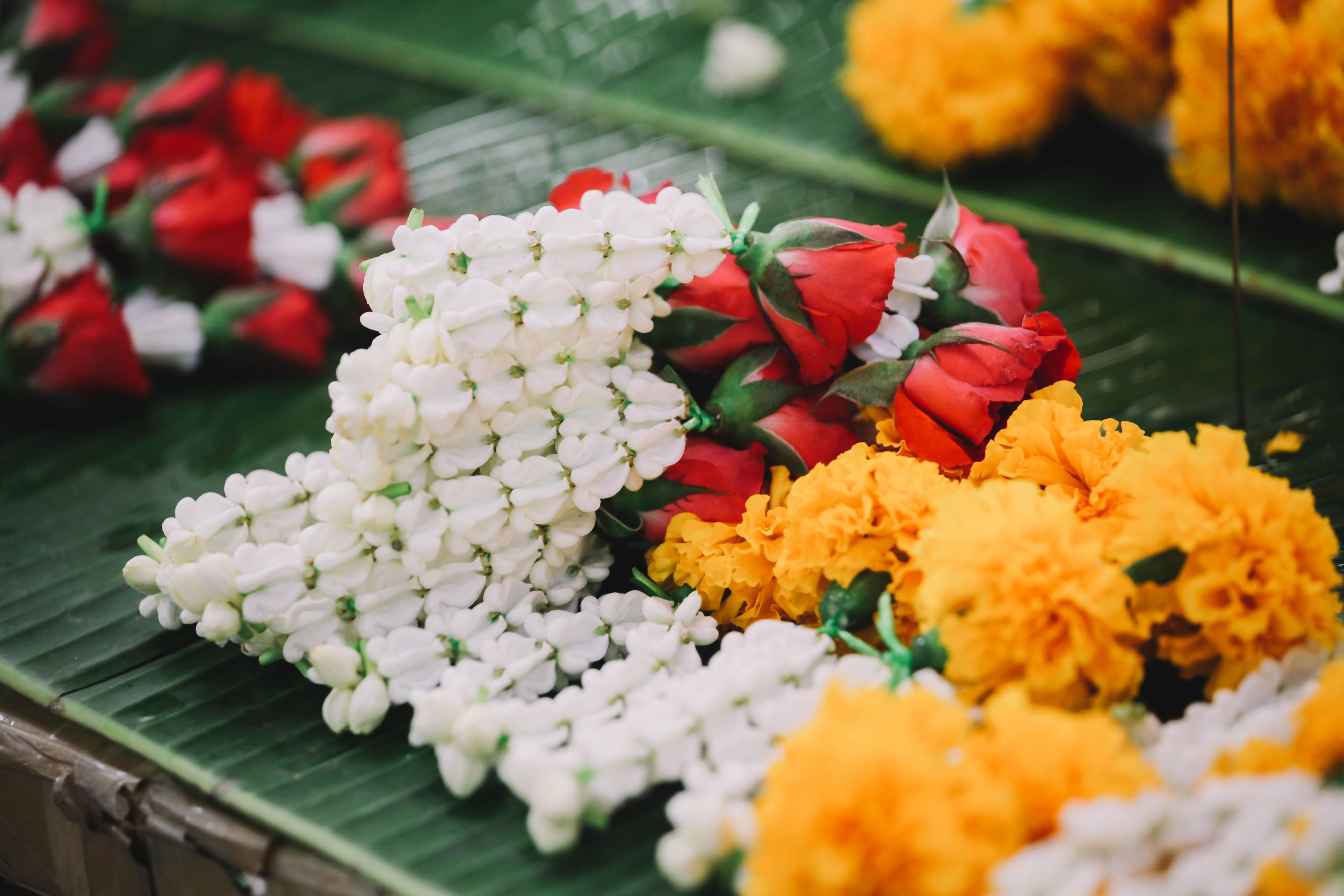 The Bangkok Flower Market That Peaks at 4 AM — Before the City Wakes