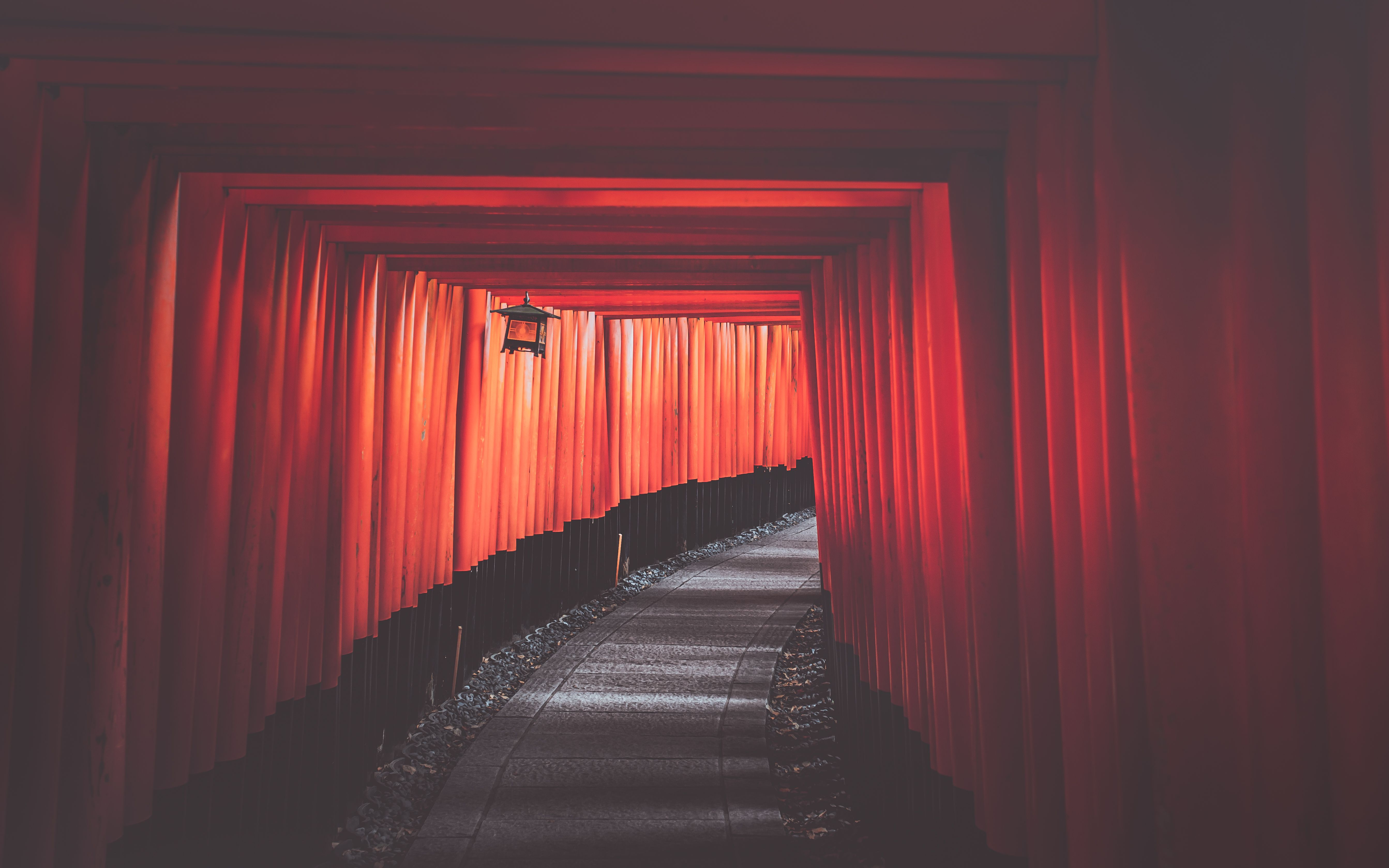 Fushimi Inari at 5:30 AM: The Torii Gates Before the Crowds Arrive