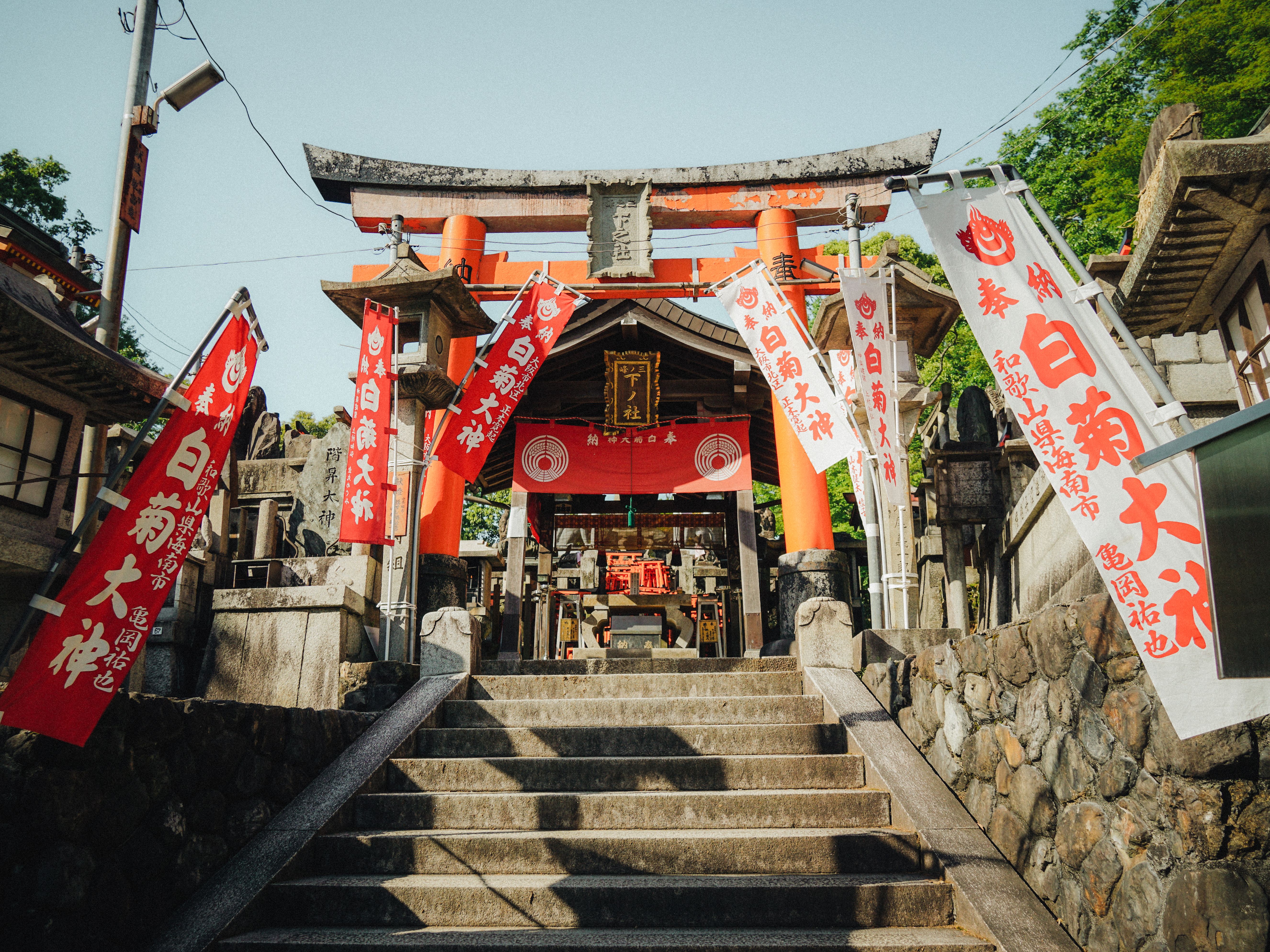 Fushimi Inari at 5:30 AM: The Torii Gates Before the Crowds Arrive