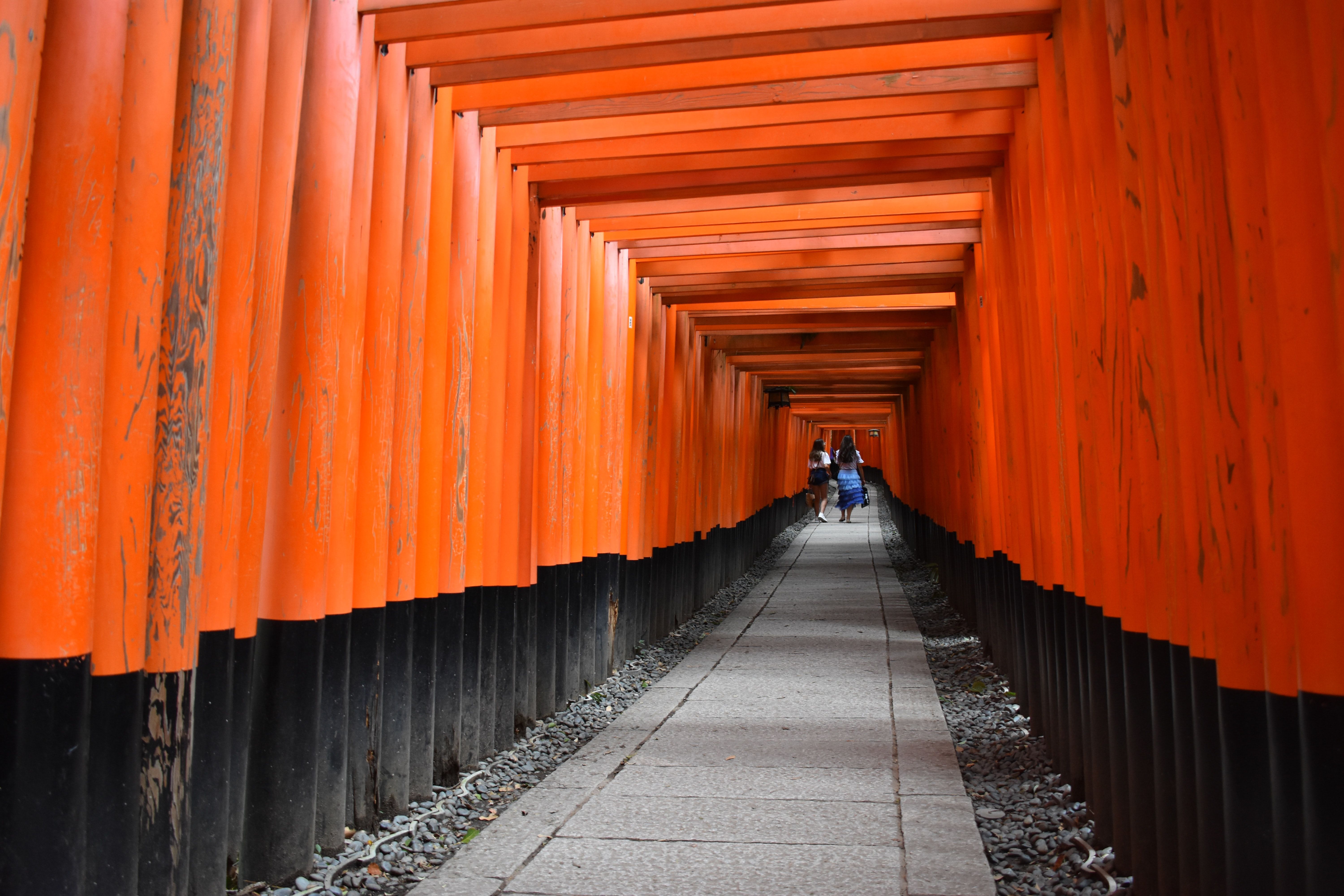 Fushimi Inari at 5:30 AM: The Torii Gates Before the Crowds Arrive