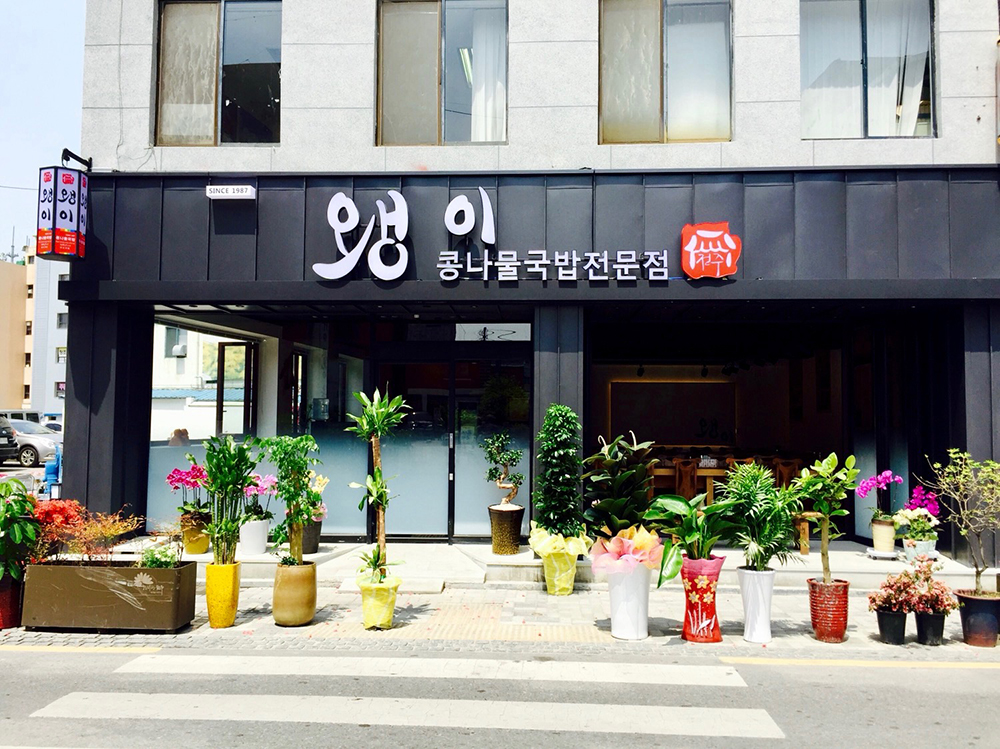 Jeonju Nambu Market at 5 AM — the bibimbap alley locals eat before tourists arrive