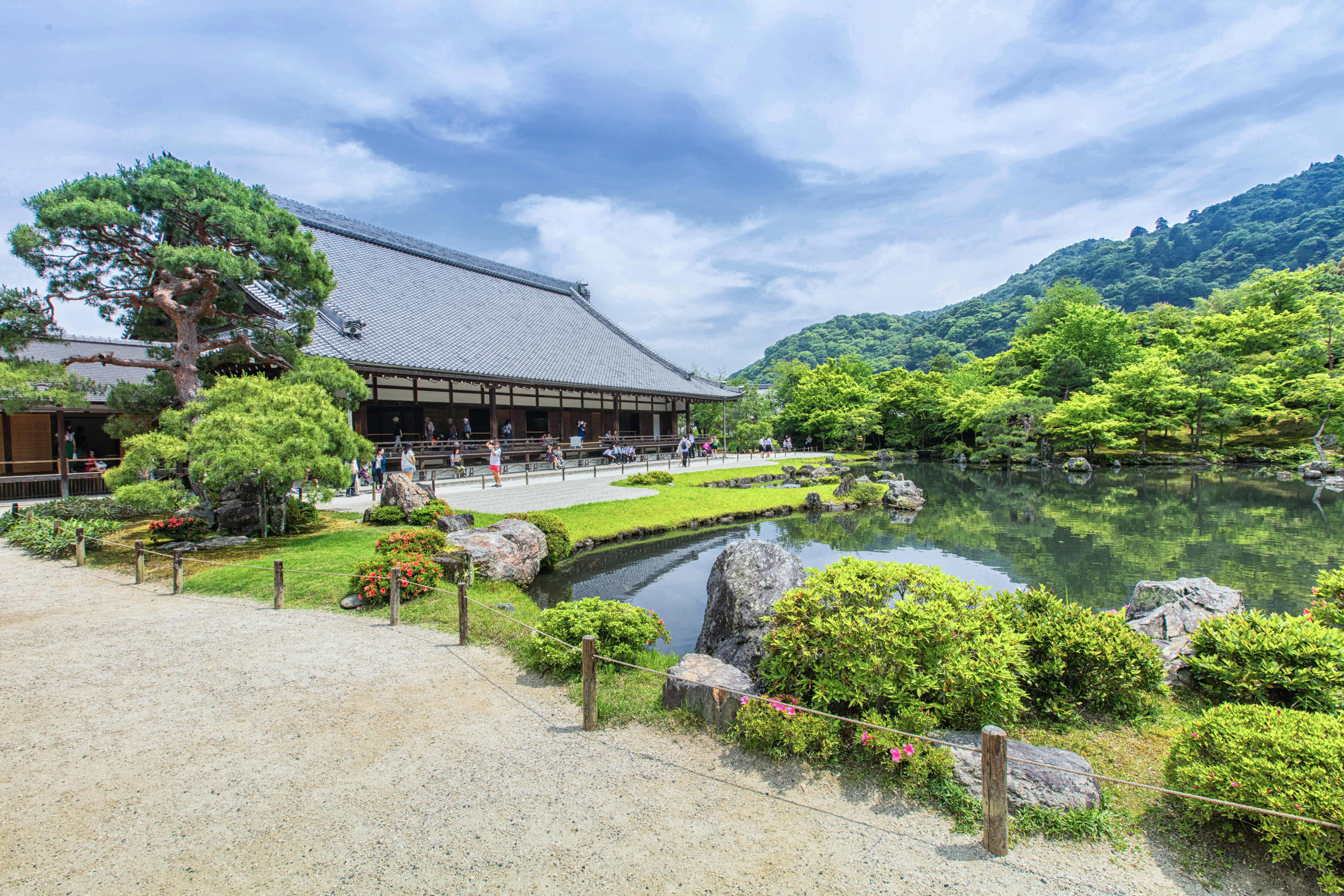 Kyoto's Arashiyama Bamboo Grove: The Ultimate Guide