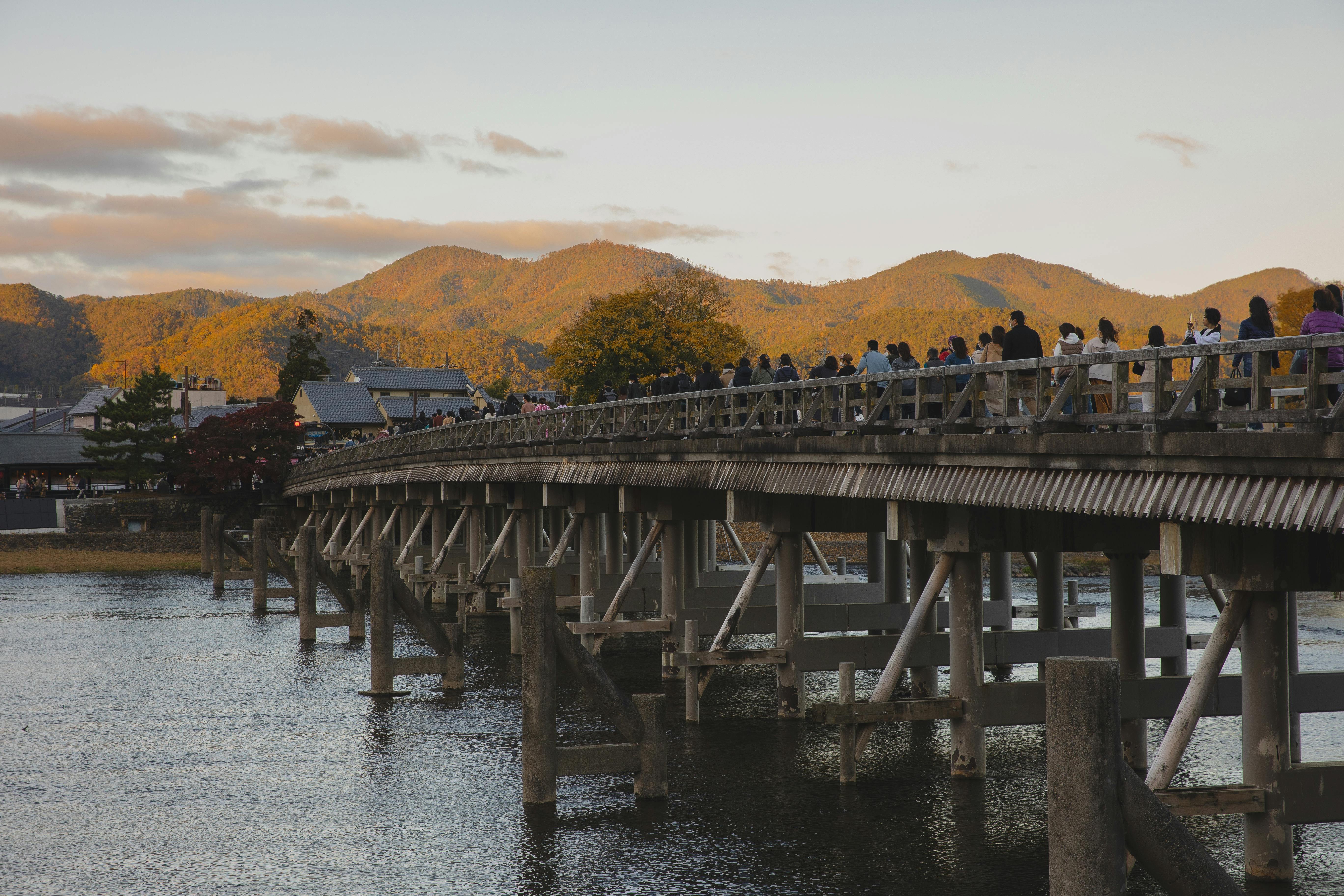 Kyoto's Arashiyama Bamboo Grove: The Ultimate Guide