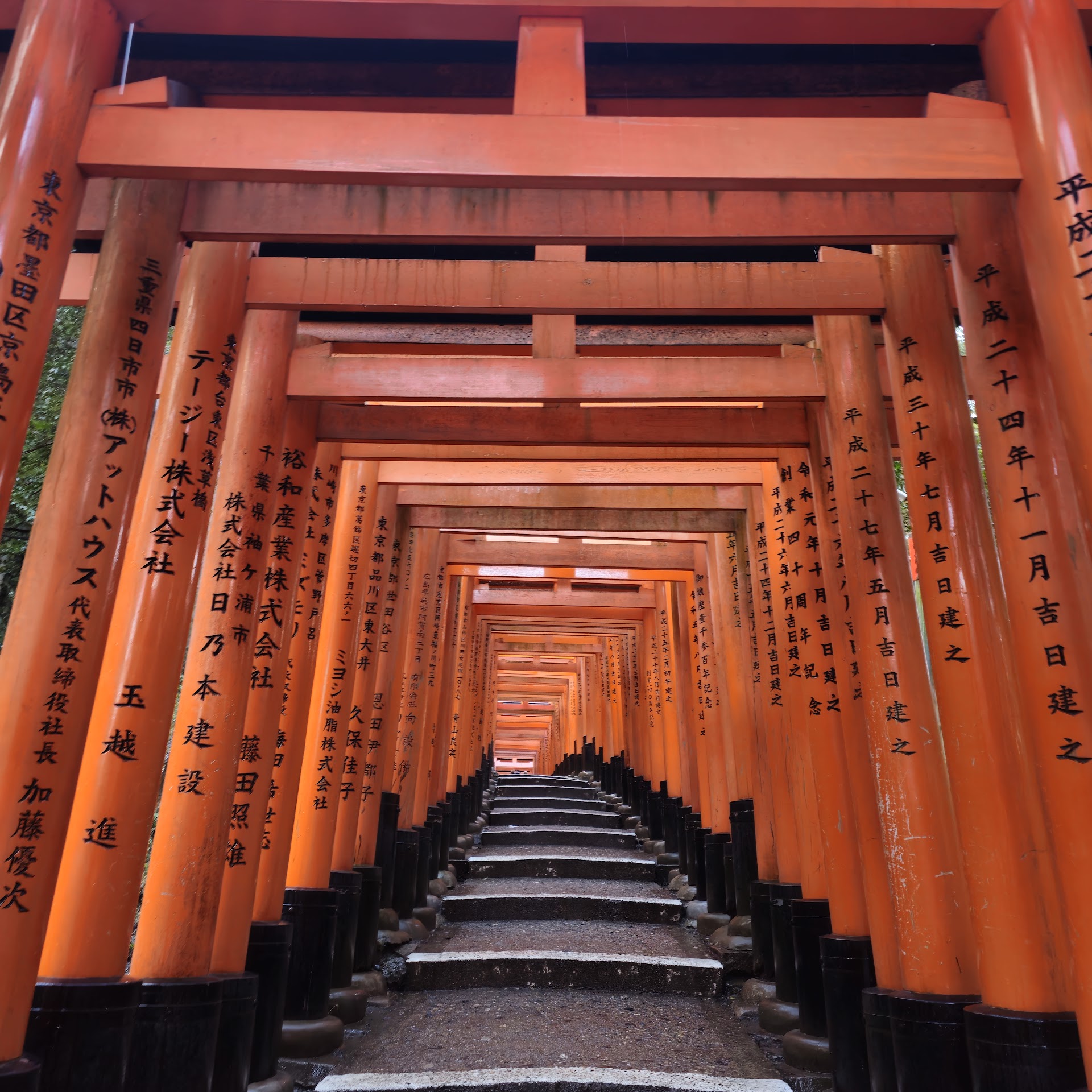 Kyoto's Sake District Has a Full Food Route — And Most Visitors Skip It