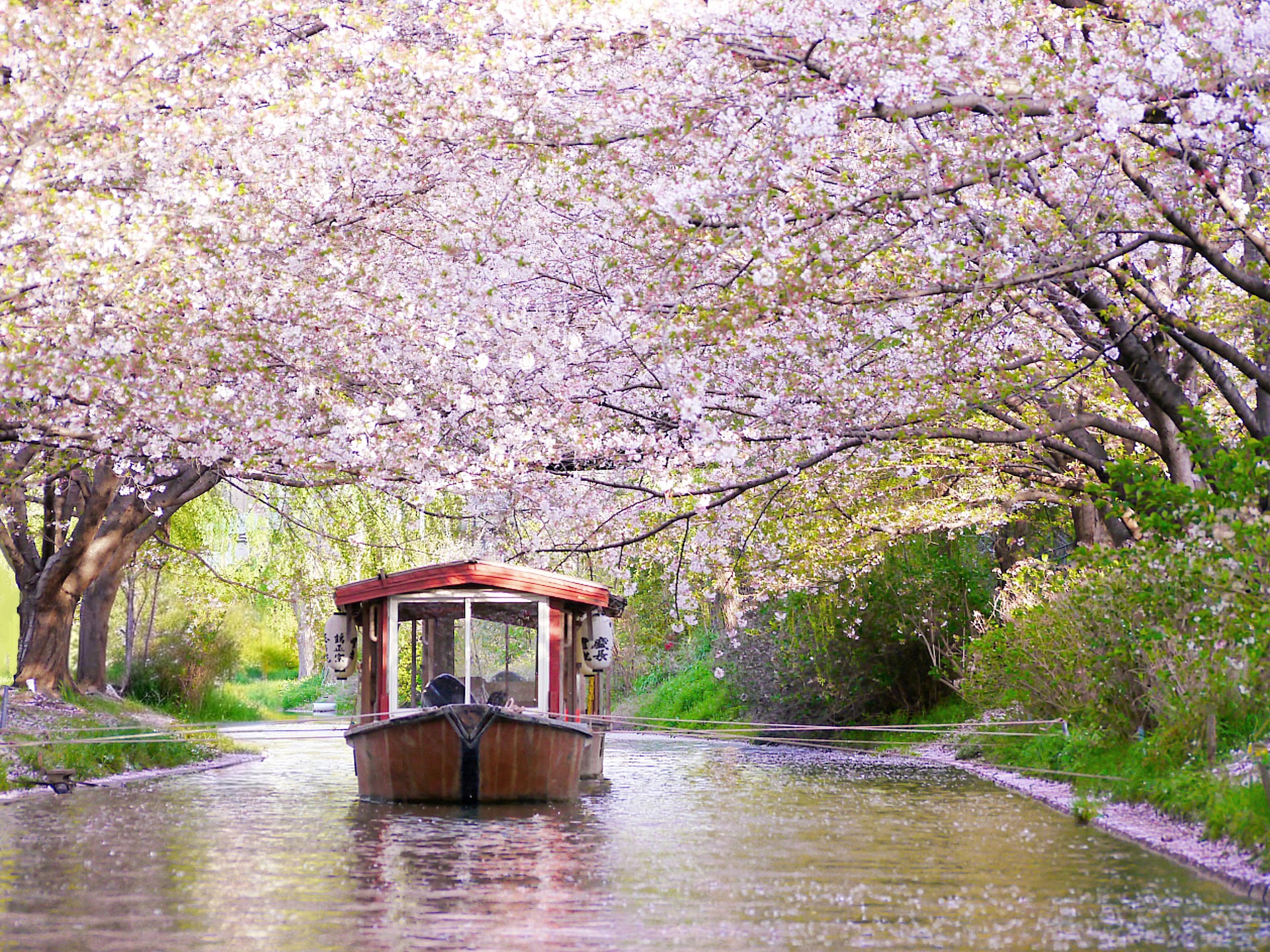 Kyoto's Sake District Has a Full Food Route — And Most Visitors Skip It