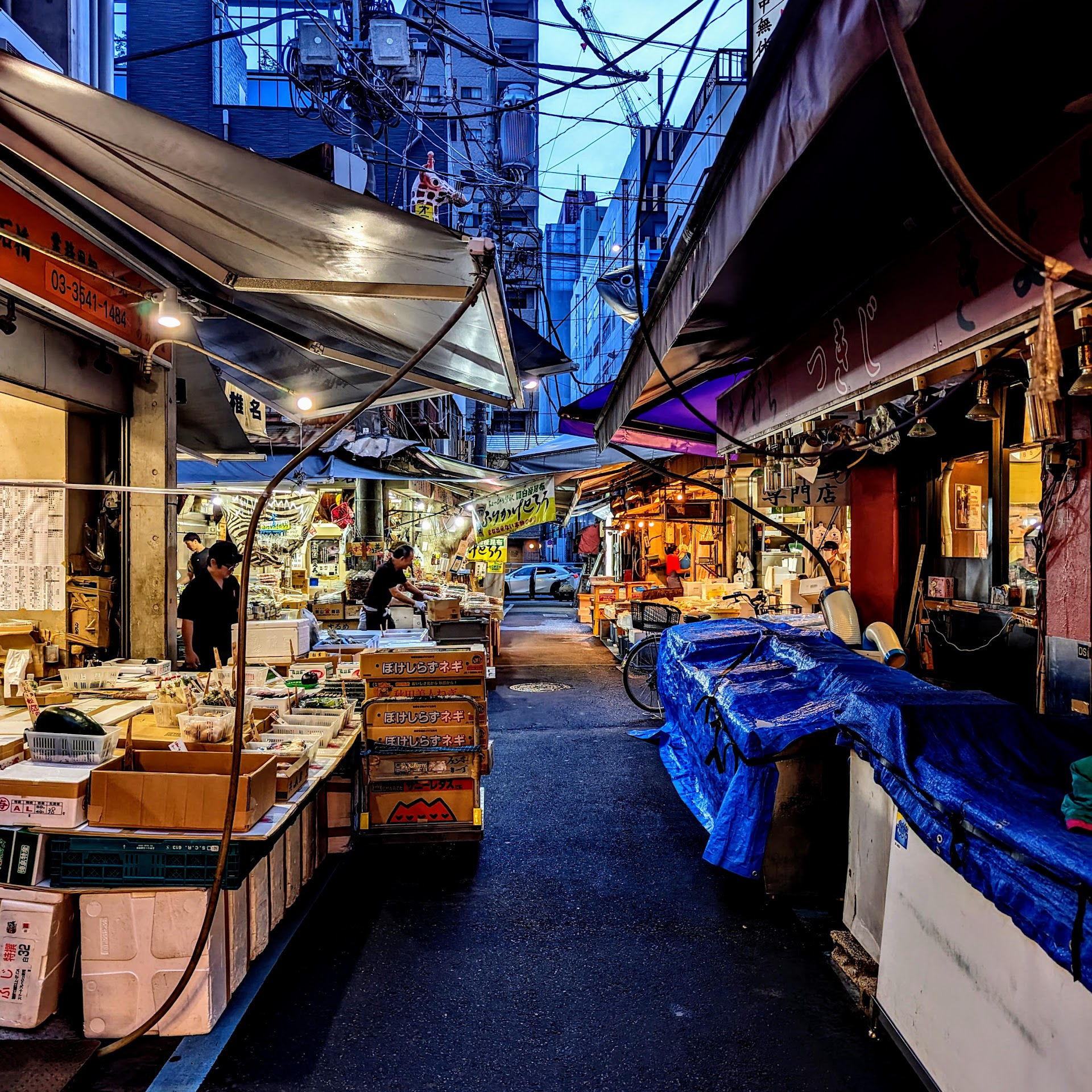 Tokyo's Tsukiji Outer Market: A 7-Stop Breakfast Route Before the Crowds Hit