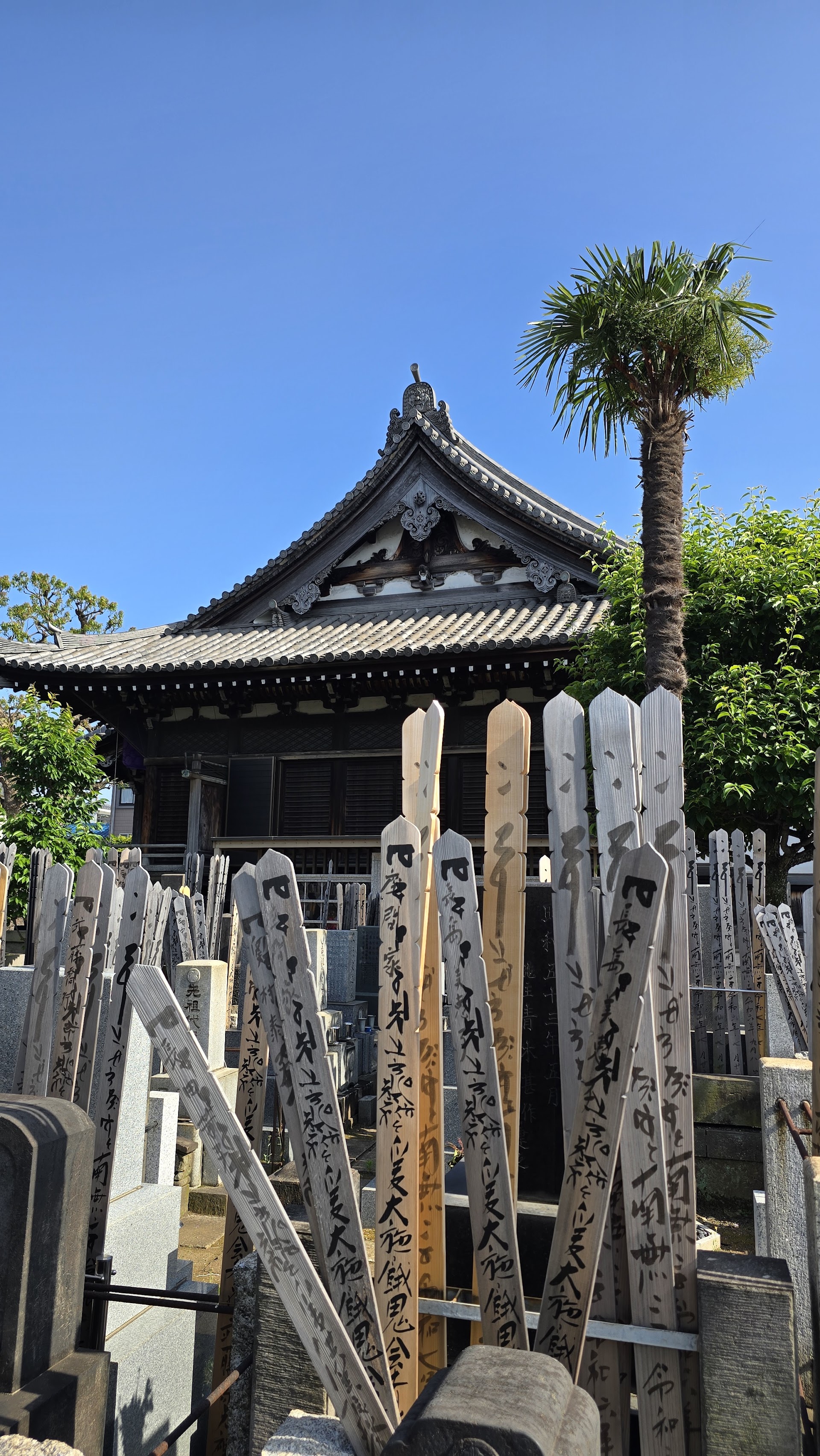 Tokyo's Quiet Neighborhood Nobody Routes: Yanaka Ginza Before 9 AM
